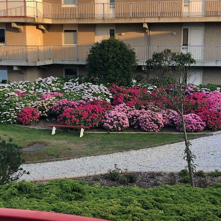 Ferienwohnung Gross-Holtick Ameland Buren  Kültér fotó